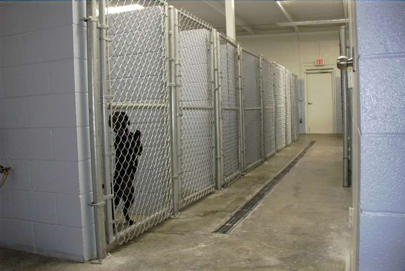 My Pet Motel facility interior — clean, modern, purpose-built for pets