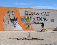 My Pet Motel El Paso facility exterior