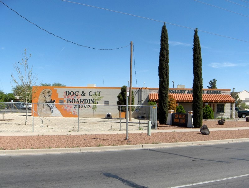 Dog Daycare