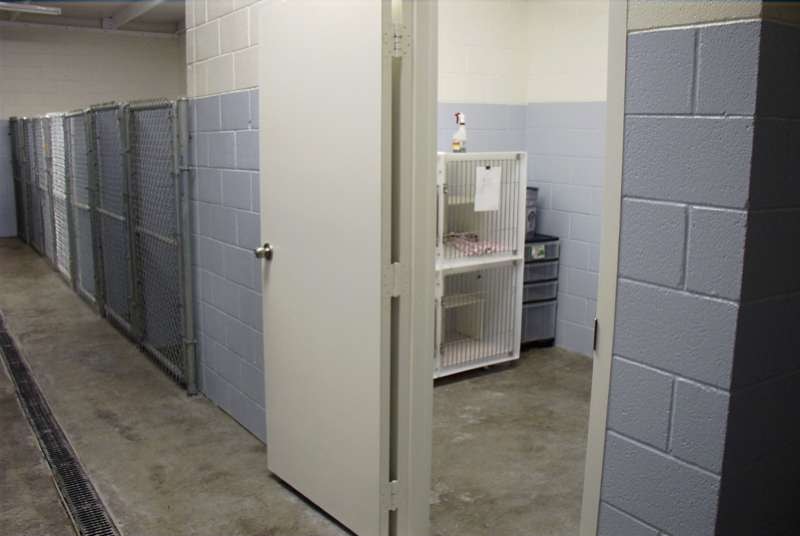 Pet boarding facility at My Pet Motel El Paso